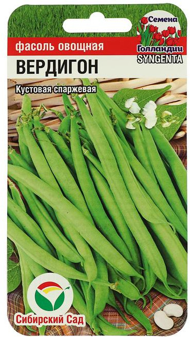 Фасоль «Вердигон» | Сибирский Сад