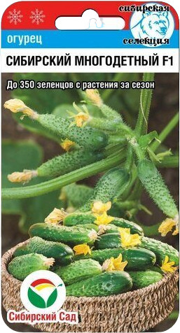 Огурец «Сибирский многодетный F1» | Сибирский Сад