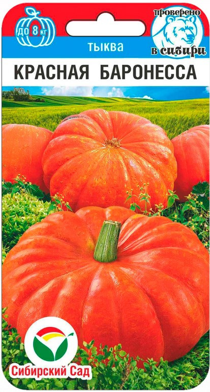 Тыква «Красная баронесса» | Сибирский Сад