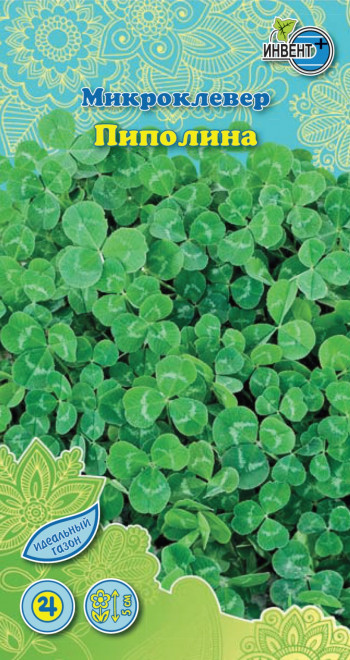 Микроклевер «Пиполина» | Инвент+