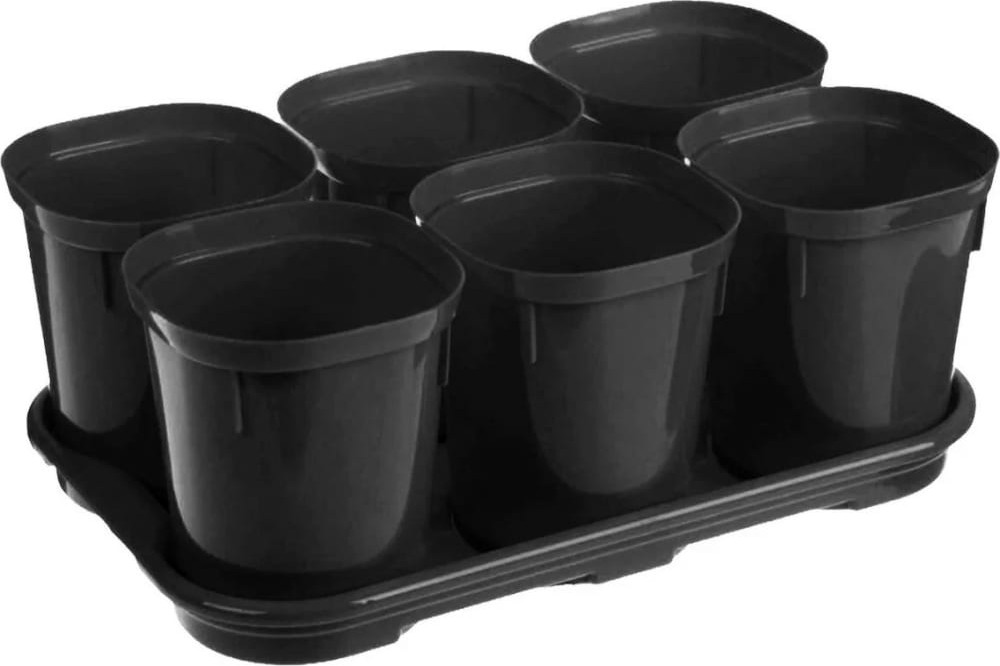 Набор для рассады | InGreen