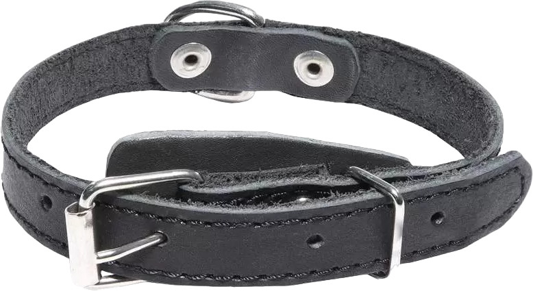 Ошейник для собак | Triol