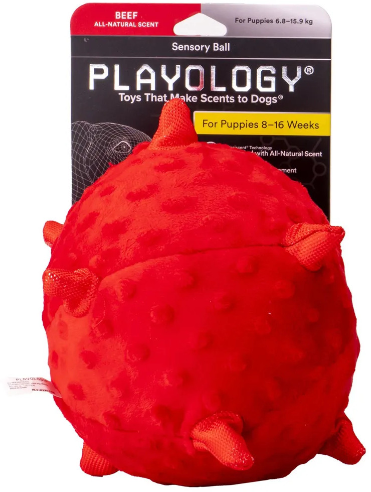 Игрушка для щенков с ароматом арахиса «Puppy Sensory Bal» | Playology