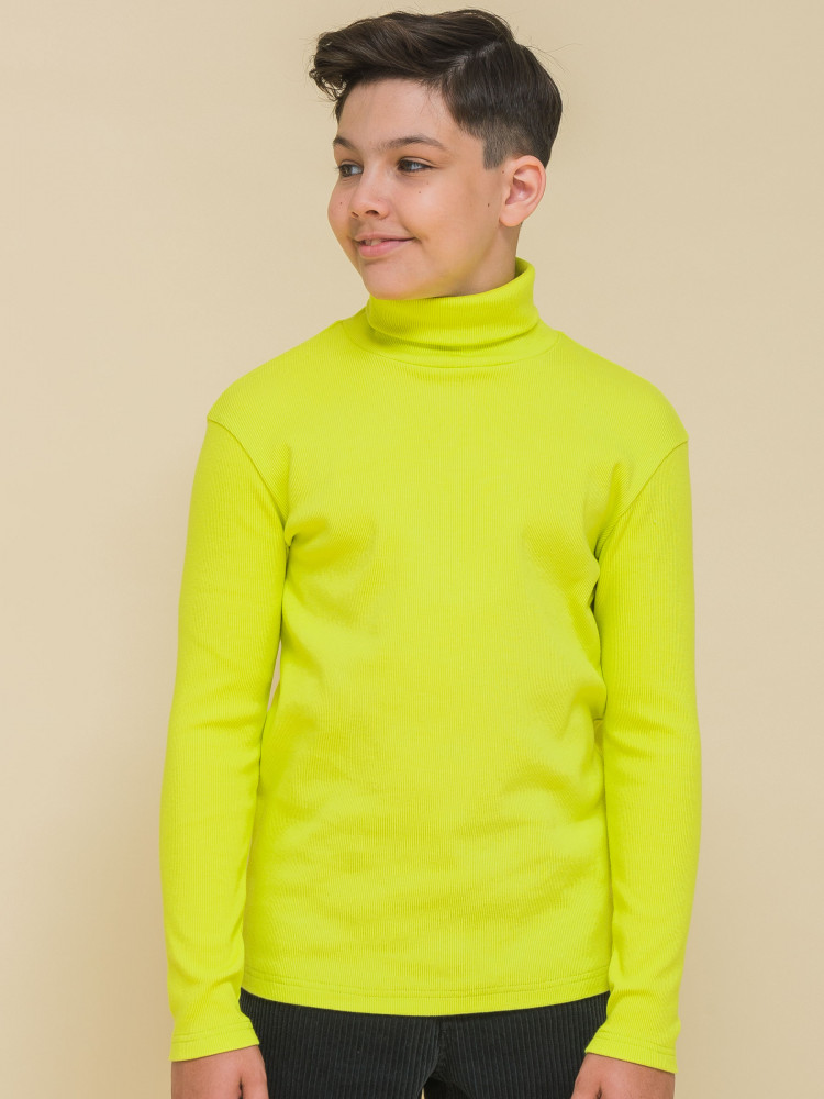 Водолазка для мальчиков | Pelican