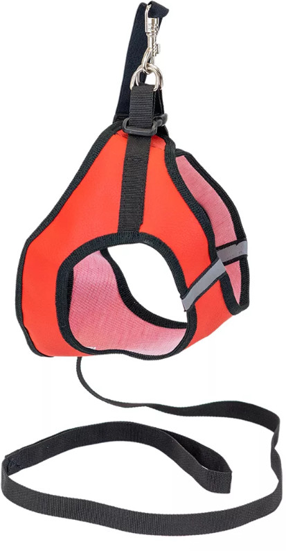 Шлейка с поводком для собак «Конфетти-топ» | Eco | Ред Пластик