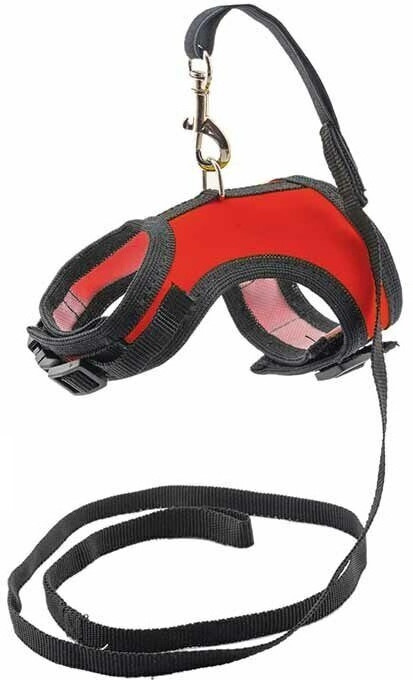 Шлейка с поводком для собак и кошек «Конфетти-икс» | Eco | Ред Пластик