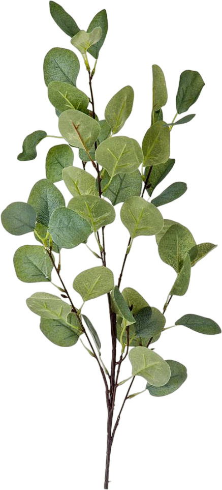 Цветок искусственный «Эвкалипт популус» | Lefard