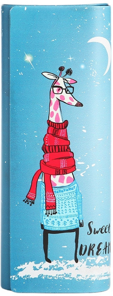 Футляр для очков