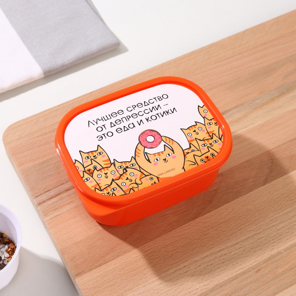 Ланч-бокс «Еда и котики» | FoodVibes