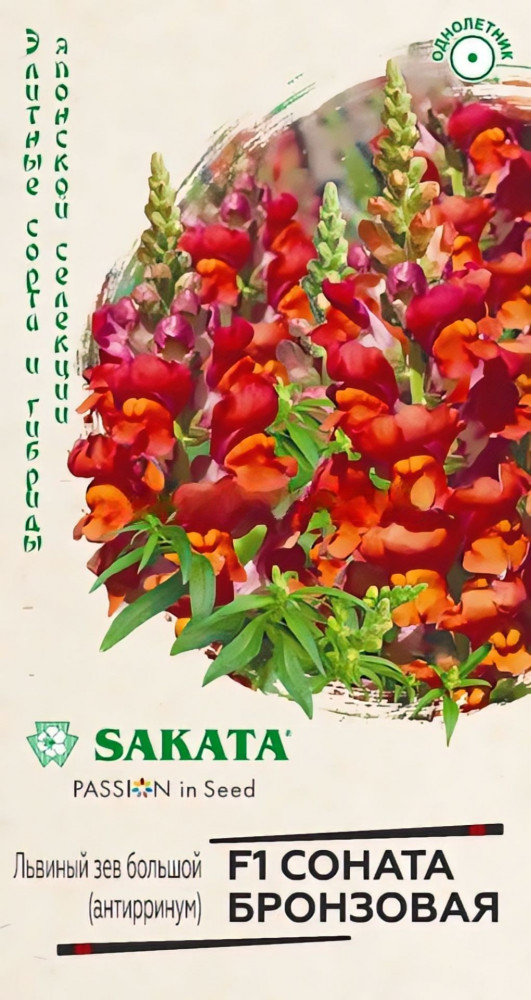 Антирринум «Соната бронзовая F1» | Гавриш