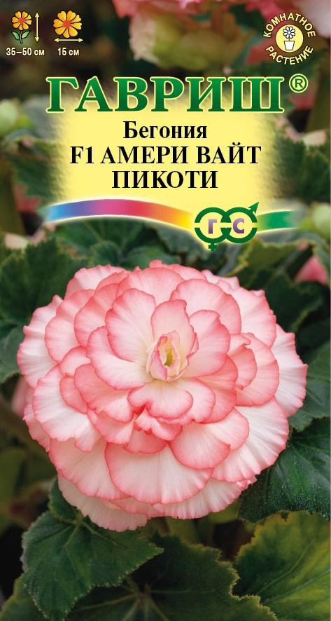 Бегония «Амери вайти пикоти F1» | Гавриш