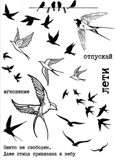 Тату перманентные «Птицы»