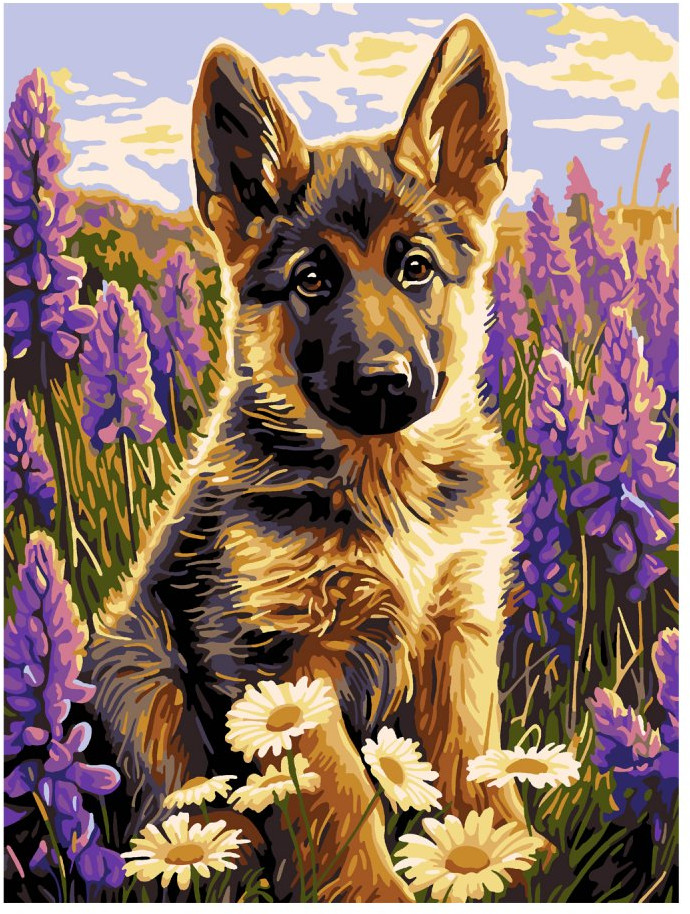 Картина по номерам «Маленький друг» | Lori