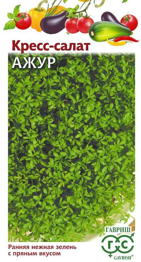 Кресс-салат «Ажур» | Гавриш