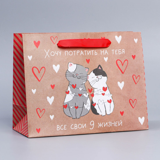 Пакет подарочный «Потрачу девять жизней»