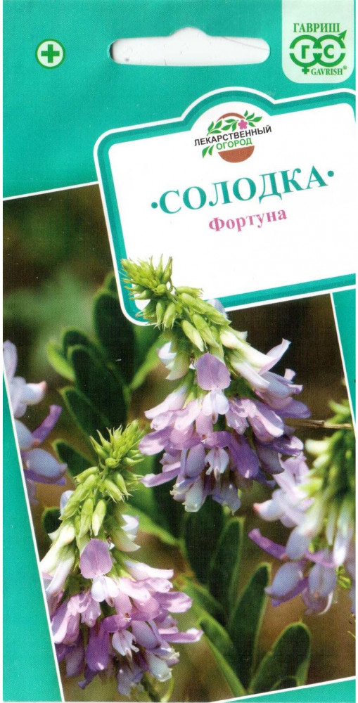 Солодка «Фортуна» | Лекарственный огород | Гавриш