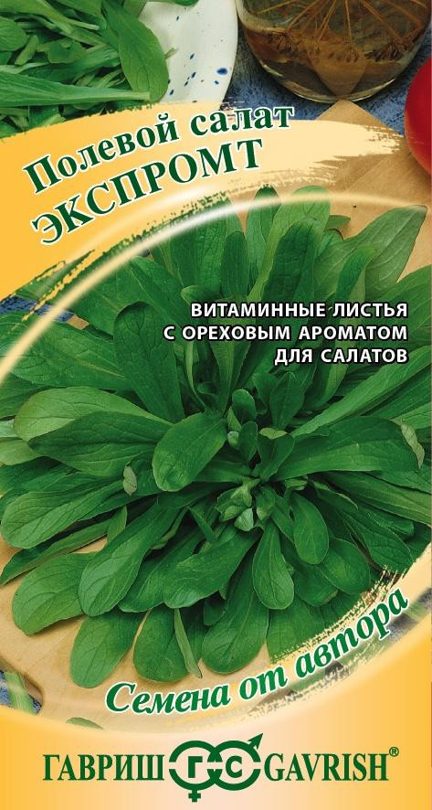 Салат полевой «Экспромт» | Гавриш