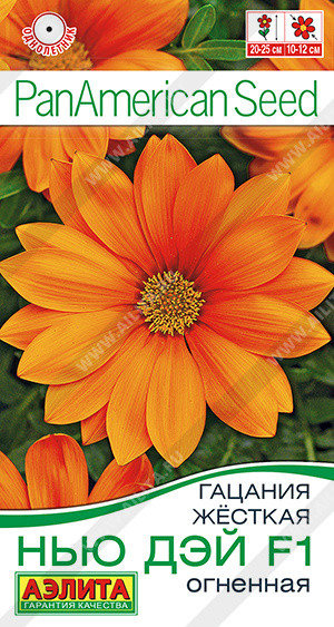 Гацания жёсткая огненная | Нью Дэй F1 | Аэлита