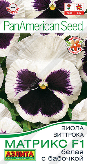 Виола белая с бабочкой «Матрикс F1» | PanAmerican Seed | Аэлита