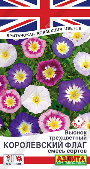 Вьюнок смесь сортов « Королевский флаг» | Аэлита