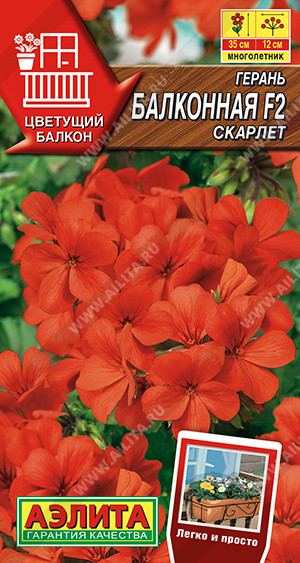 Герань балконная «Скарлет F2» | Цветущий балкон | Аэлита