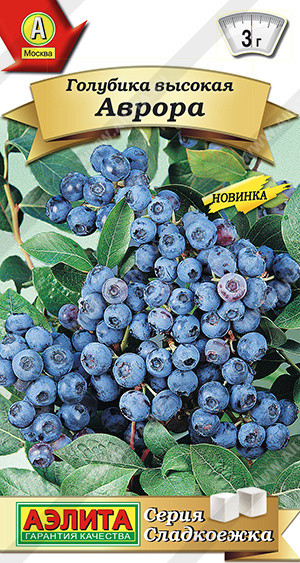 Голубика высокая «Аврора» | Сладкоежка | Аэлита