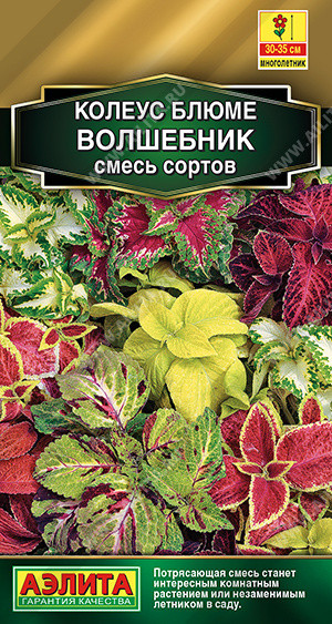 Колеус блюме «Волшебник смесь сортов» | Аэлита