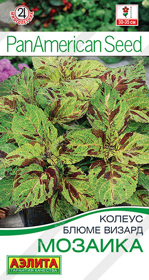 Колеус блюме визард «Мозаика» | PanAmerican Seed | Аэлита
