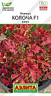 Семена колеуса «Колоча F1 роуз»