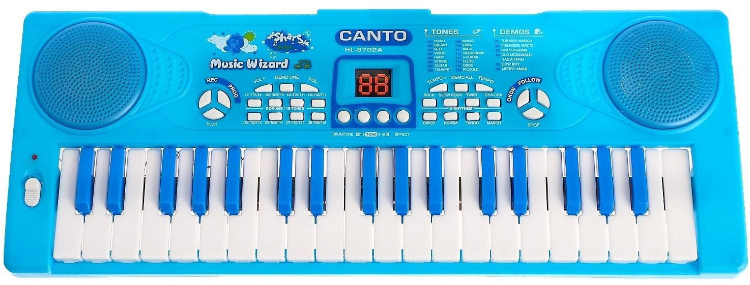 Синтезатор с микрофоном «Нежность» | Синтезаторы | Zabiaka