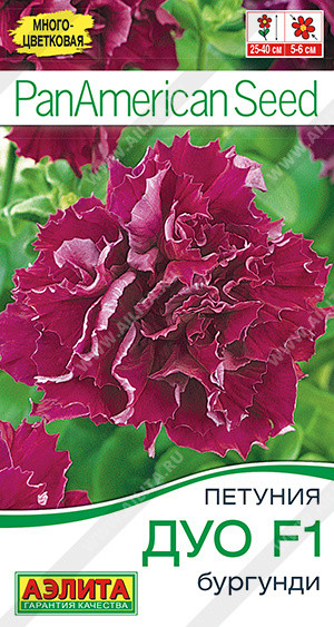 Петуния «Дуо F1 бургунди» | Аэлита
