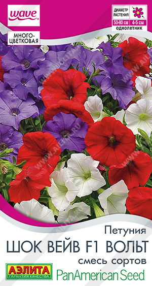Петуния смесь сортов «Шок вейв F1 вольт» | PanAmerican Seed | Аэлита