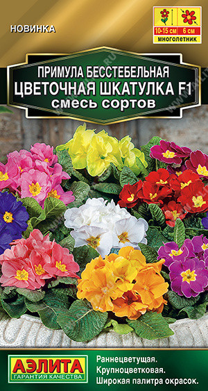 Примула смесь сортов «Цветочная шкатулка F1» | Аэлита