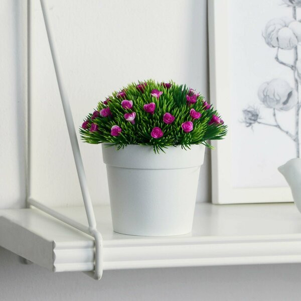 Бонсай в горшке «Розочки в траве» | ИнтерPresent