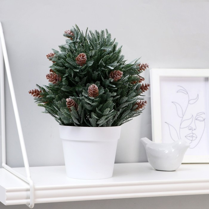 Бонсай в горшке «Хвойный куст» | ИнтерPresent