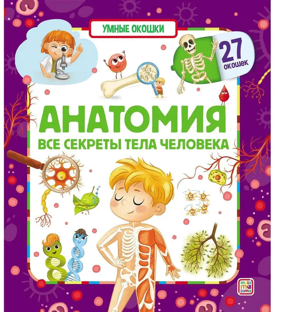 Анатомия. Умные окошки | Умные окошки