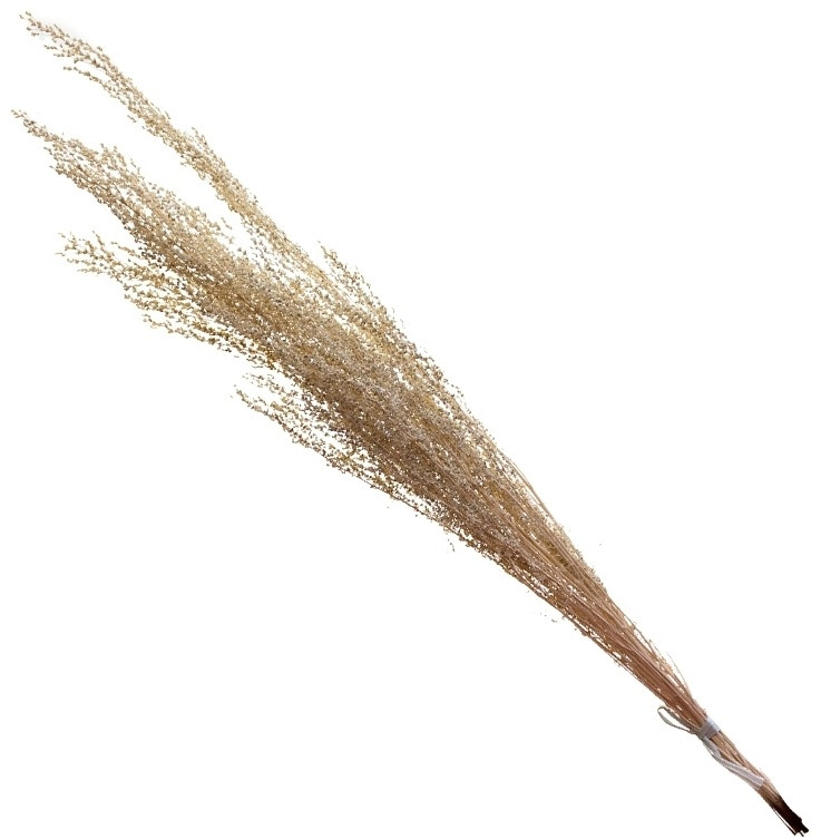 Сухоцвет «Метелочки» | ИнтерPresent