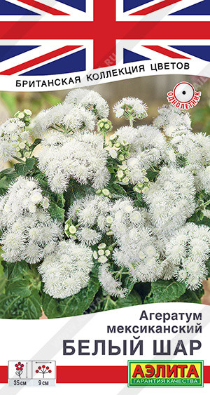 Агератум мексиканский «Белый шар» | Аэлита
