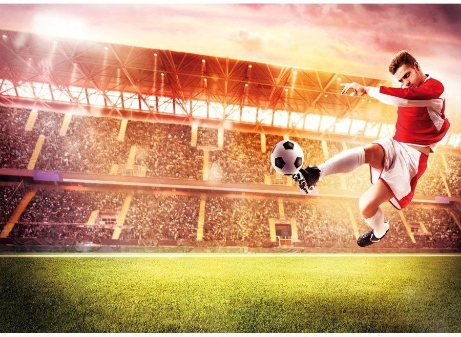 Фотообои «Футбольный триумф» | Симфония