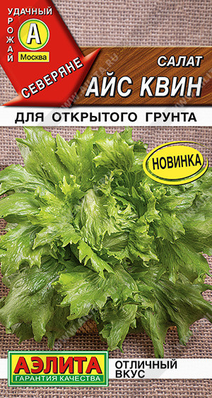 Салат «Айс квин» | Аэлита