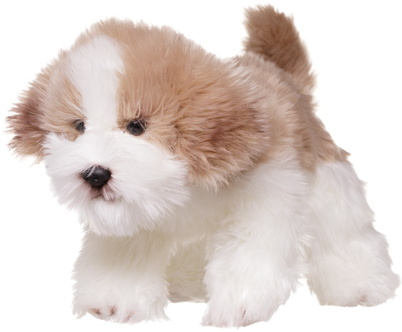 Игрушка мягкая «Собачка породы Мальтипу» | Домашние любимцы | ABtoys