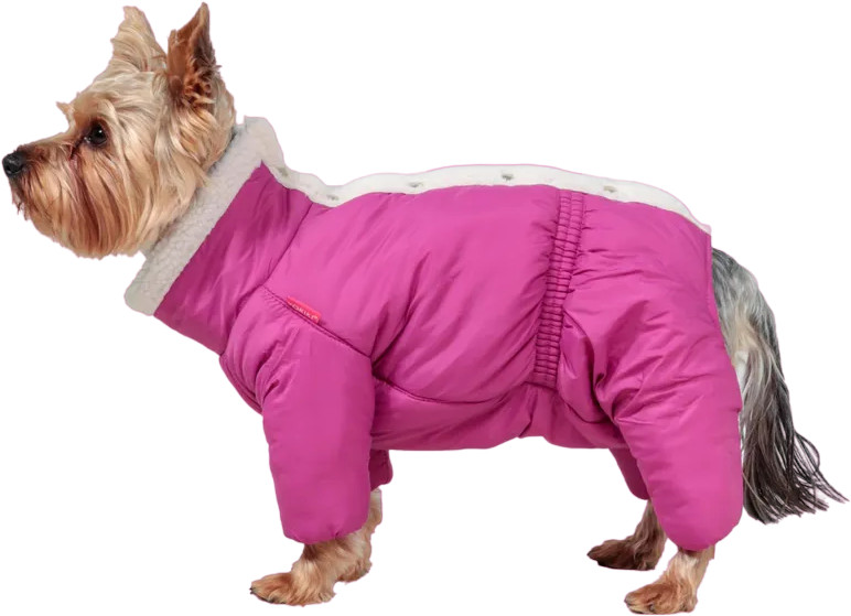 Комбинезон для собак «Долли» | Yoriki