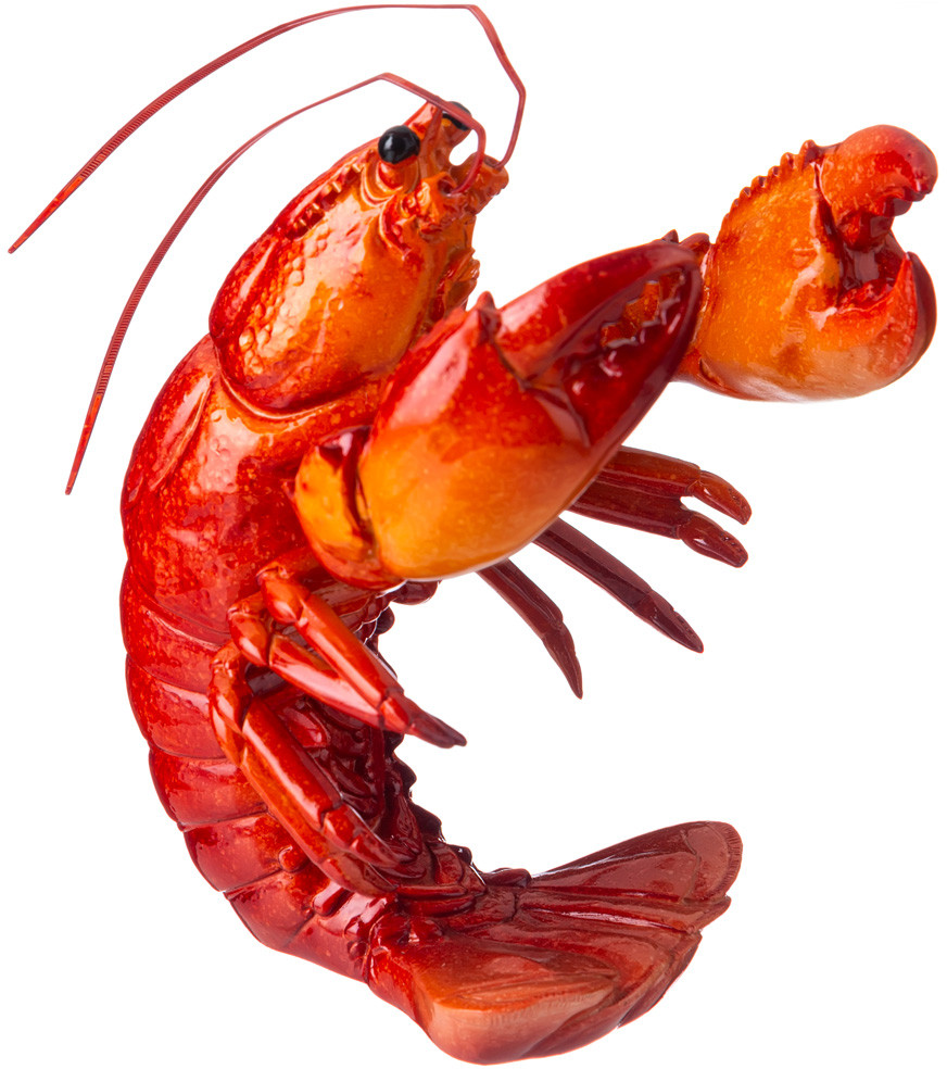 Подставка для бутылок «Омар» | Lefard