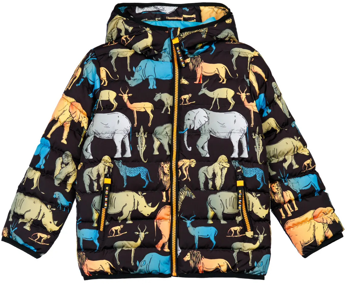 Куртка для мальчиков | Safari | PlayToday