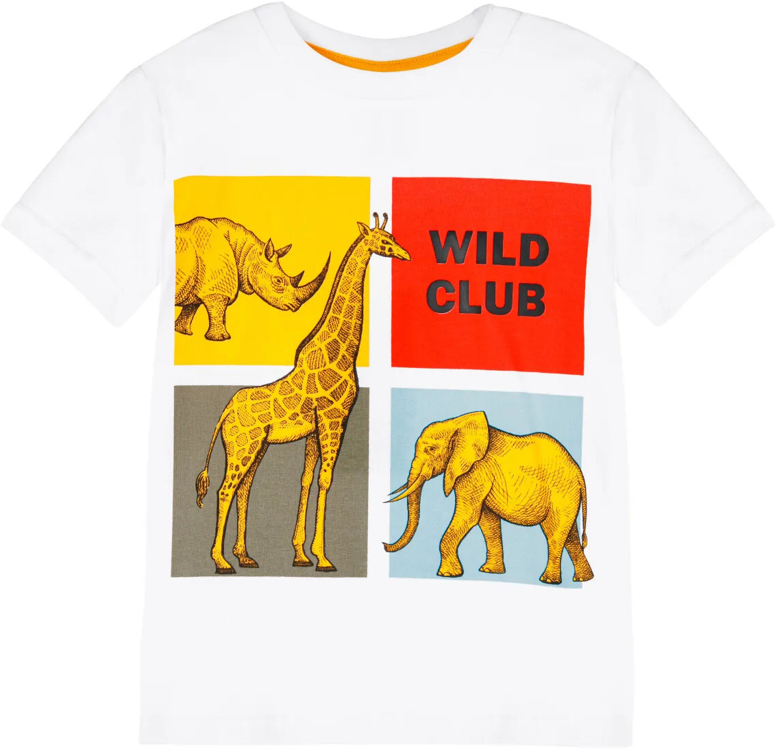 Футболка для мальчиков | Safari | PlayToday