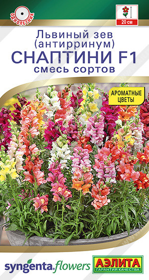 Львиный зев «Снаптини F1» | Аэлита