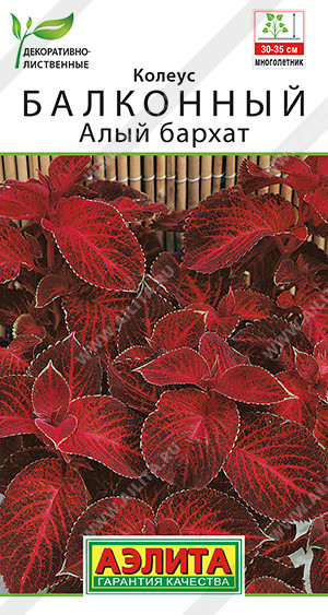 Колеус балконный «Алый бархат» | Аэлита