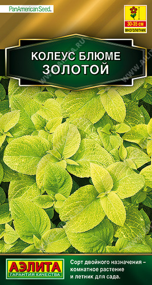 Колеус блюме «Золотой» | PanAmerican Seed | Аэлита