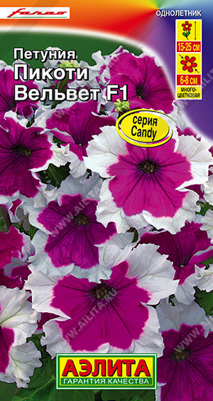 Петуния «Пикоти Вельвет F1» | Farao (Италия) | Аэлита