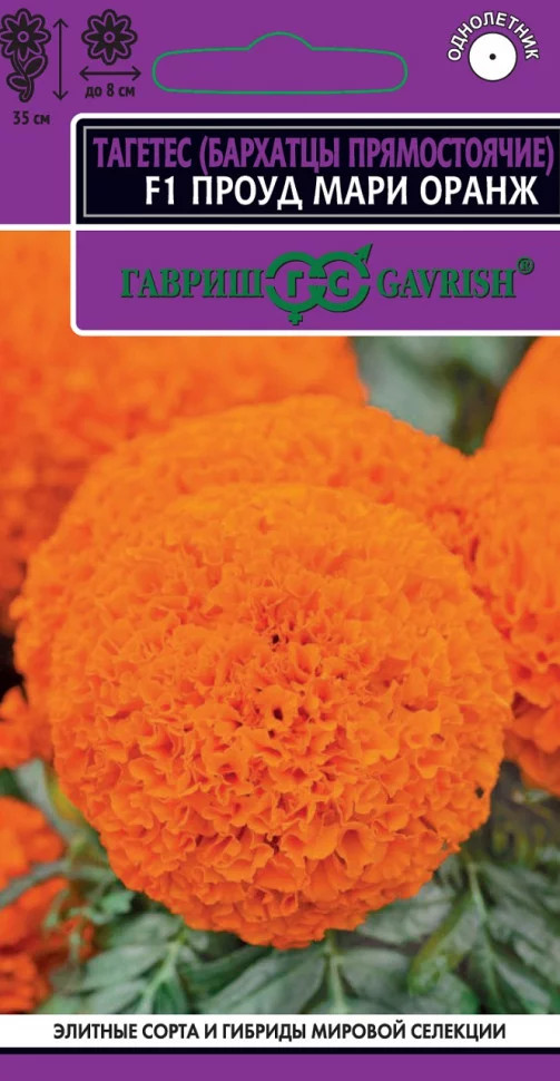 Бархатцы прямостоячие «Проуд мари оранж F1» | Эксклюзив | Гавриш